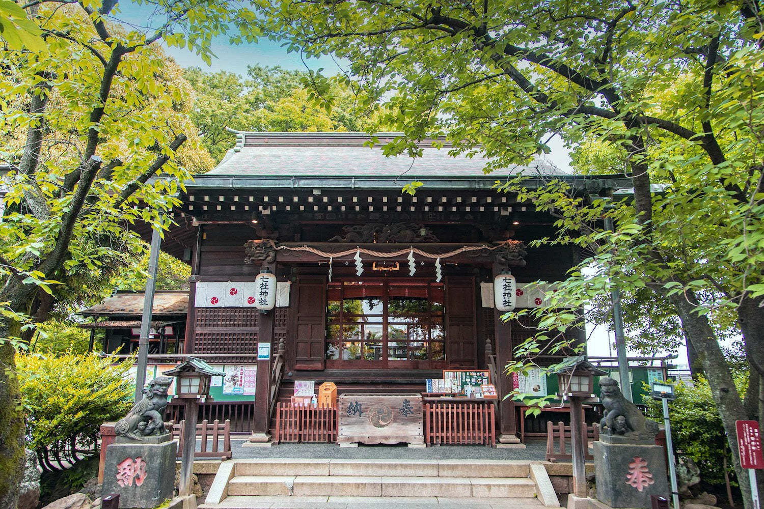 Shrine main hall framed by fresh green trees