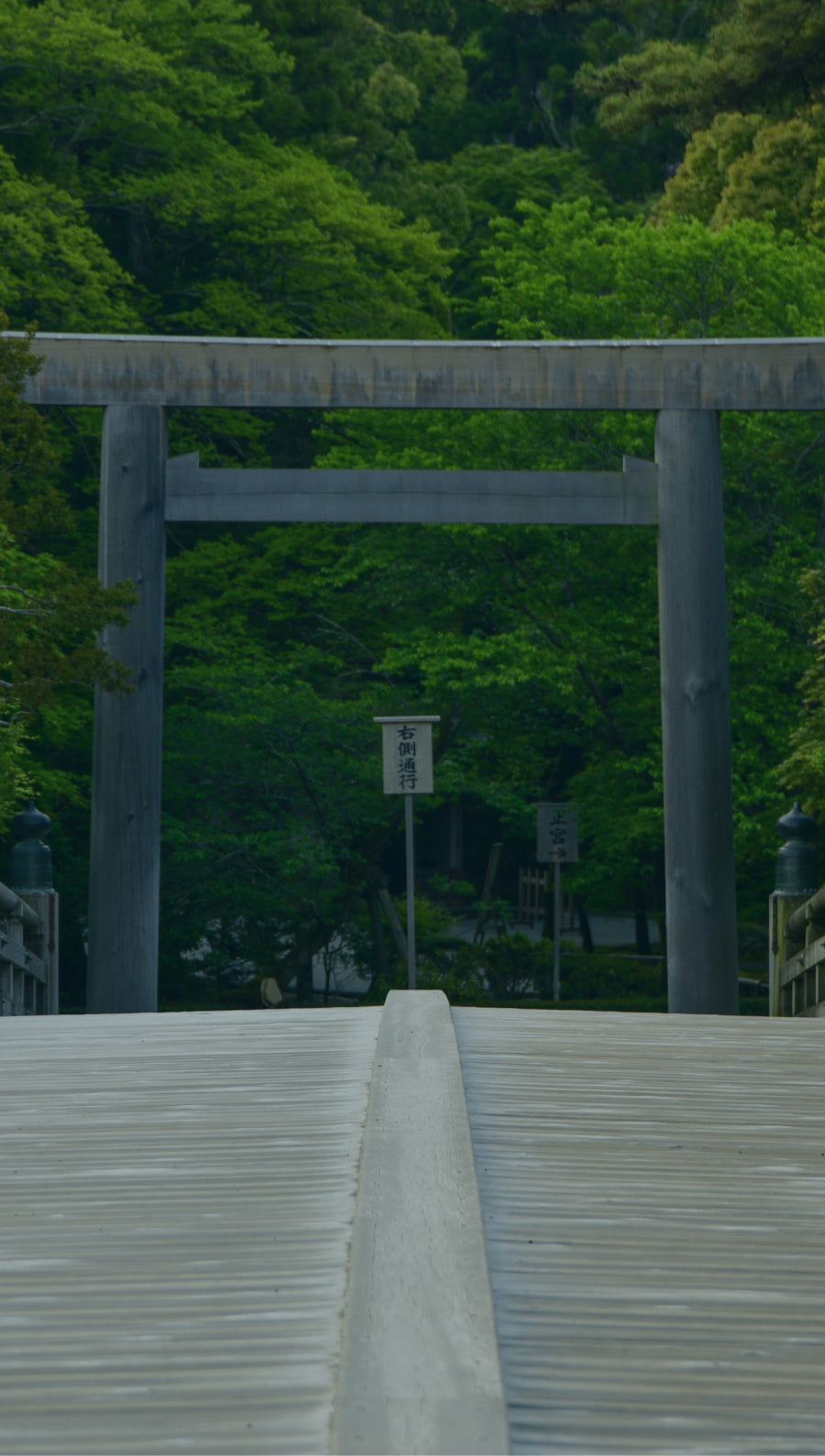 Steps to Shinto Wedding