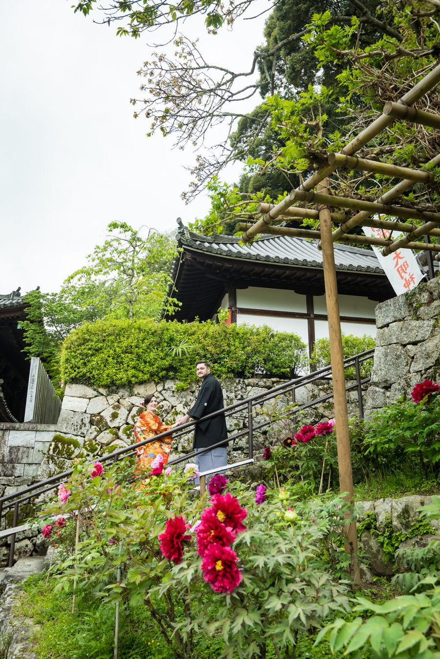 Peonies in the garden of Hasedera, a temple hall above the stone wall