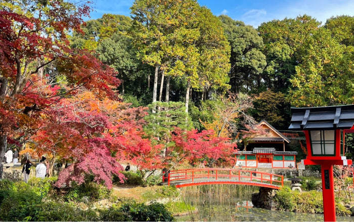 Historic Autumn Foliage Spot