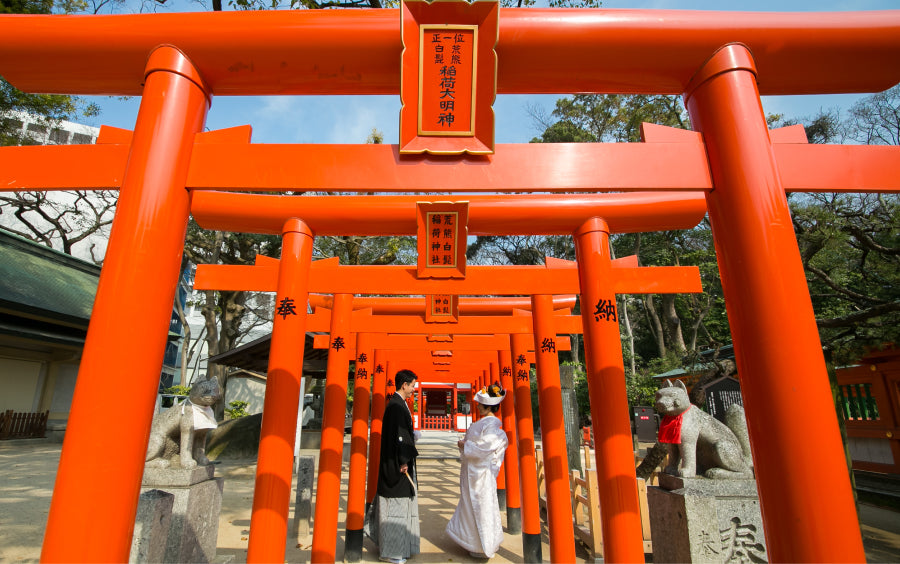 Torii - Image 1