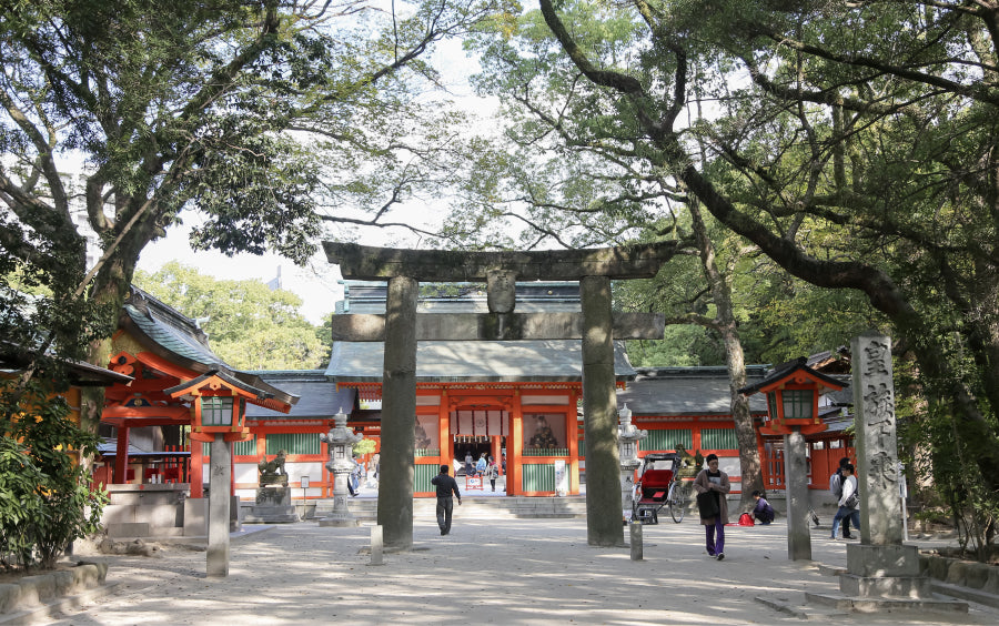 Torii - Image 2